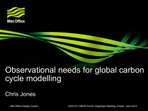 Observational needs for global carbon cycle modelling