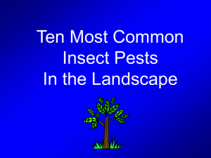 The Ten Most Common - Integrated Pest Management