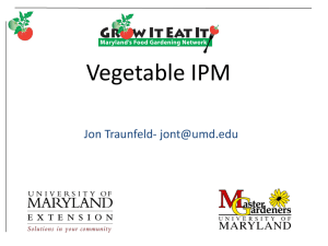 MG13 Vegetable IPM - University of Maryland Extension
