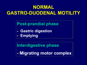 NORMAL GASTRO-DUODENAL MOTILITY