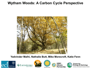 Wytham Woods: a carbon cycle perspective