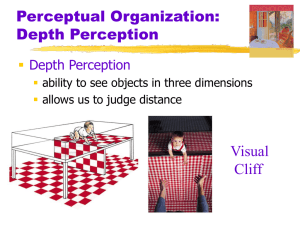 Depth Perception and Perceptual Organization PowerPoint