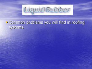 Roof Problems - Liquid Rubber Europe