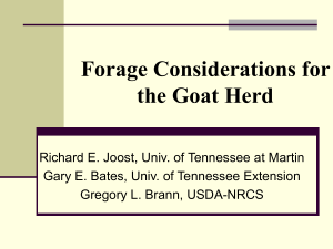 Chapter 4: Forage Considerations for the Goat Herd