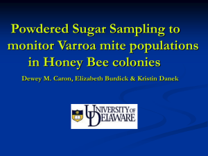 Powdered Sugar Sampling to monitor Varroa mite populations