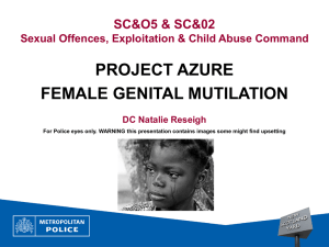 FGM powerpoint