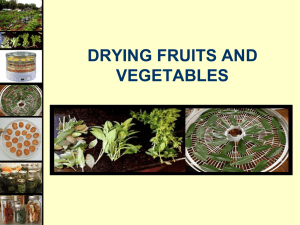 Drying fruits and vegetables