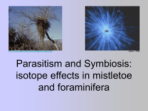 Parasitism and Symbiosis: isotope effects in mistletoe and foraminifera