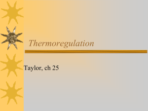 Thermoregulation