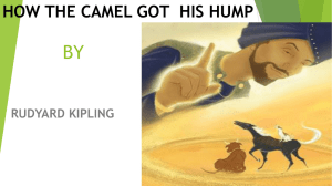 how the camel got its hump