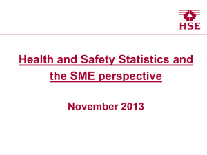 SME Perspectives - 6 November 2013