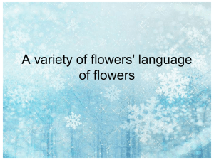 A variety of flowers` language of flowers