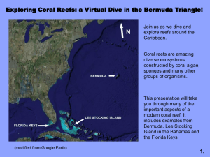 Exploring Coral Reefs: a Virtual Dive in the Bermuda