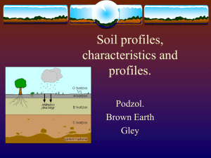 Soil profiles, characteristics and profiles.