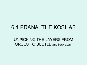 W.2.1 PRANA, THE KOSHAS AND VAYUS