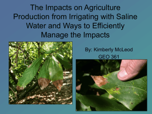 The Impacts on Agriculture Production from Irrigating with