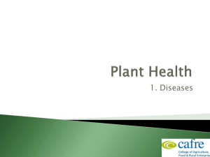 Crops Plant Health – Week 1 - Diseases 10.2MB