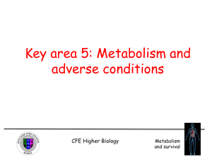 Metabolism and adverse conditions