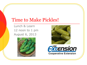 Time To Make Pickles