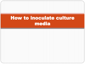 7-Culture-media-inoculation
