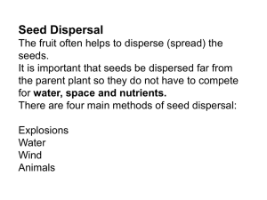 Seed Dispersal powerpoint