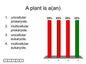 A plant is a(an)