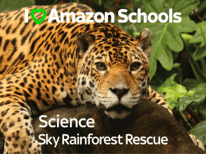 Science - Sky Rainforest Rescue