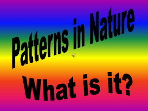 what is it patterns in nature