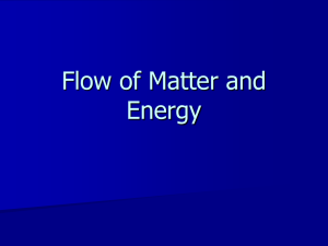 Flow of Matter and Energy