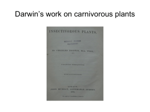 SAPS - Carnivorous plants (Drosera) and Darwin