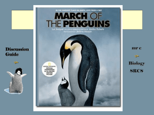 March of the Penguins ppt