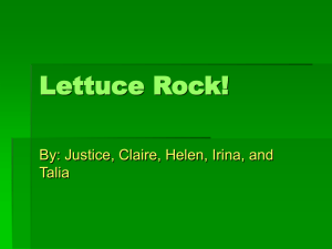 Lettuce Rock! - City Schoolyard Garden