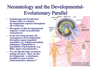 Neonatology and Evolution