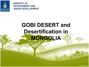 Government Policy to Combat Desertification - UN