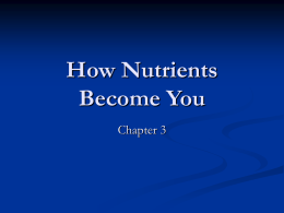 Biochemistry how to become a writer analysis Biochemistry how to become a writer analysis
