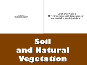 Soil and Natural Vegetation