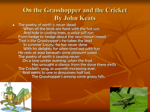 On the Grasshopper and the Cricket