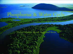 Phosphorus & Water Cycle