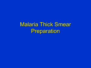 Malaria Slide Preparation for PNG