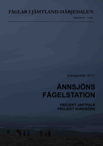 Årsrapport 2011 - Ånnsjöns fågelstation