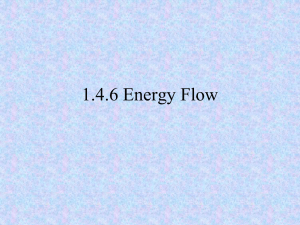 1.4.6 Energy Flow