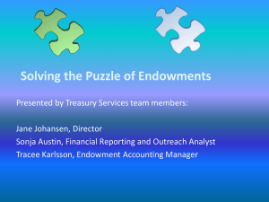 Solving the Puzzle of Endowments