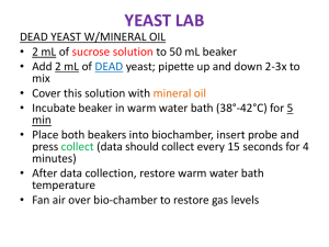 Yeast Lab Instructions