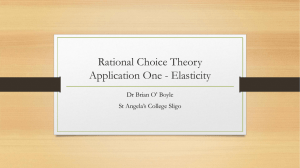 Rational Choice Theory Application One - Elasticity
