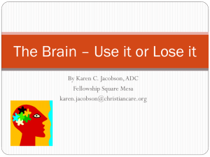 The Brain * Use it or Lose it
