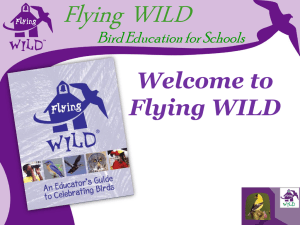 Flying WILD Introductory PowerPoint Presentation