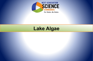 Lake Algae Scenario