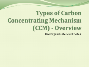 Types of Carbon Concentrating Mechanism (CCM