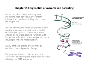 Chapter 2: Epigenetics of mammalian parenting