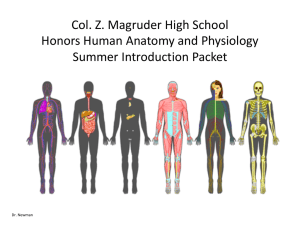 Col. Z. Magruder High School Honors Human Anatomy and
